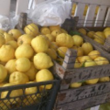 When life gives you lemon...